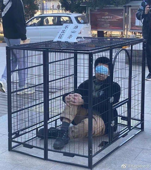 “꼭 필요하지 않으면 새장에서 나가지 않겠다”